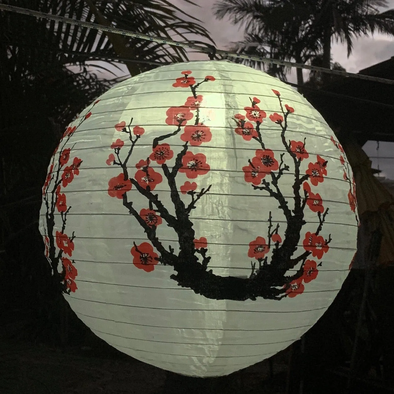 40cm Cherry blossom nylon lantern