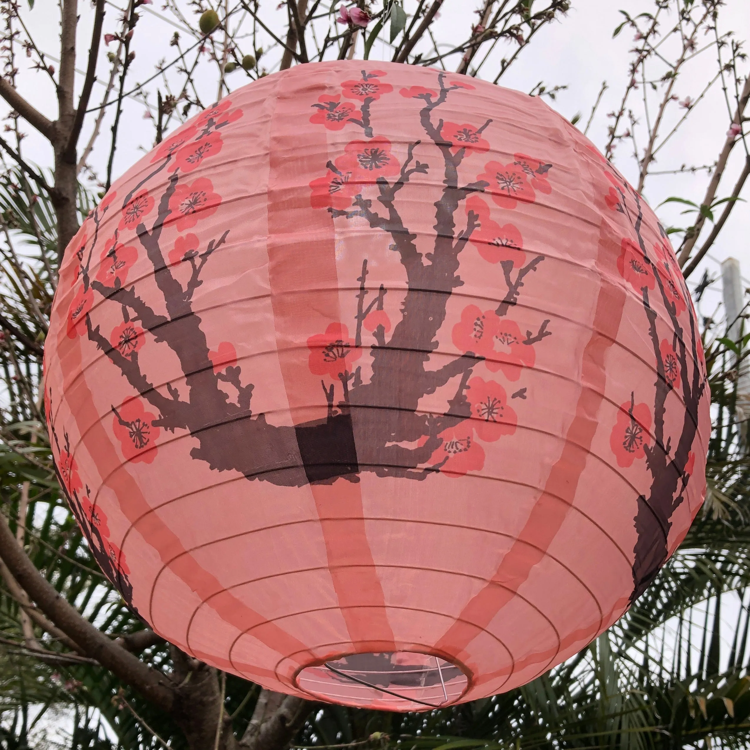 40cm Cherry blossom nylon lantern