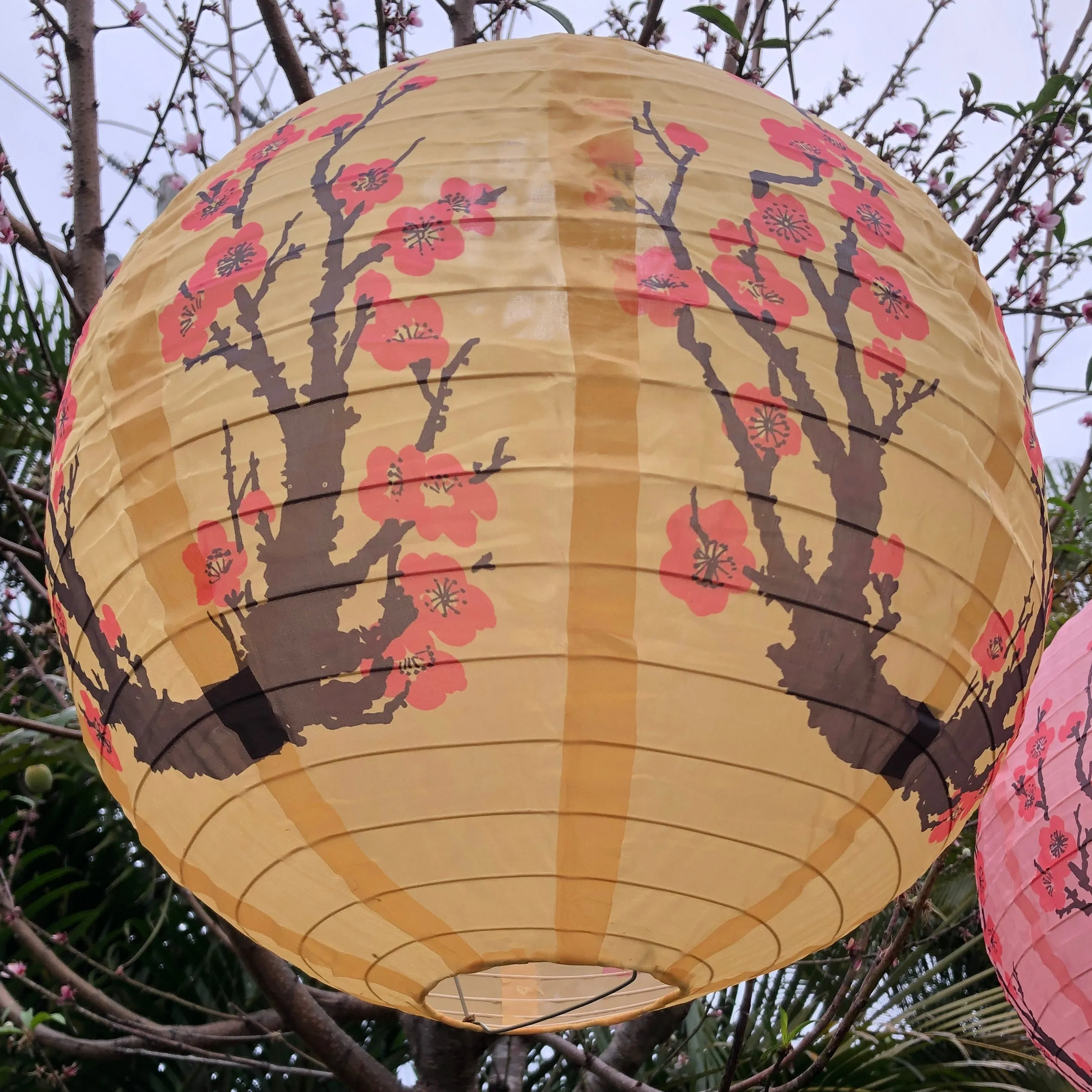 40cm Cherry blossom nylon lantern