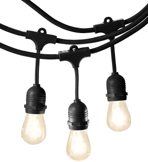 48 Foot Outdoor Weatherproof String Lights with 15 Incandescent Bulbs