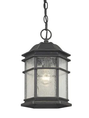 Barlow Outdoor Hanging Fixture in Winchester with Seedy Glass