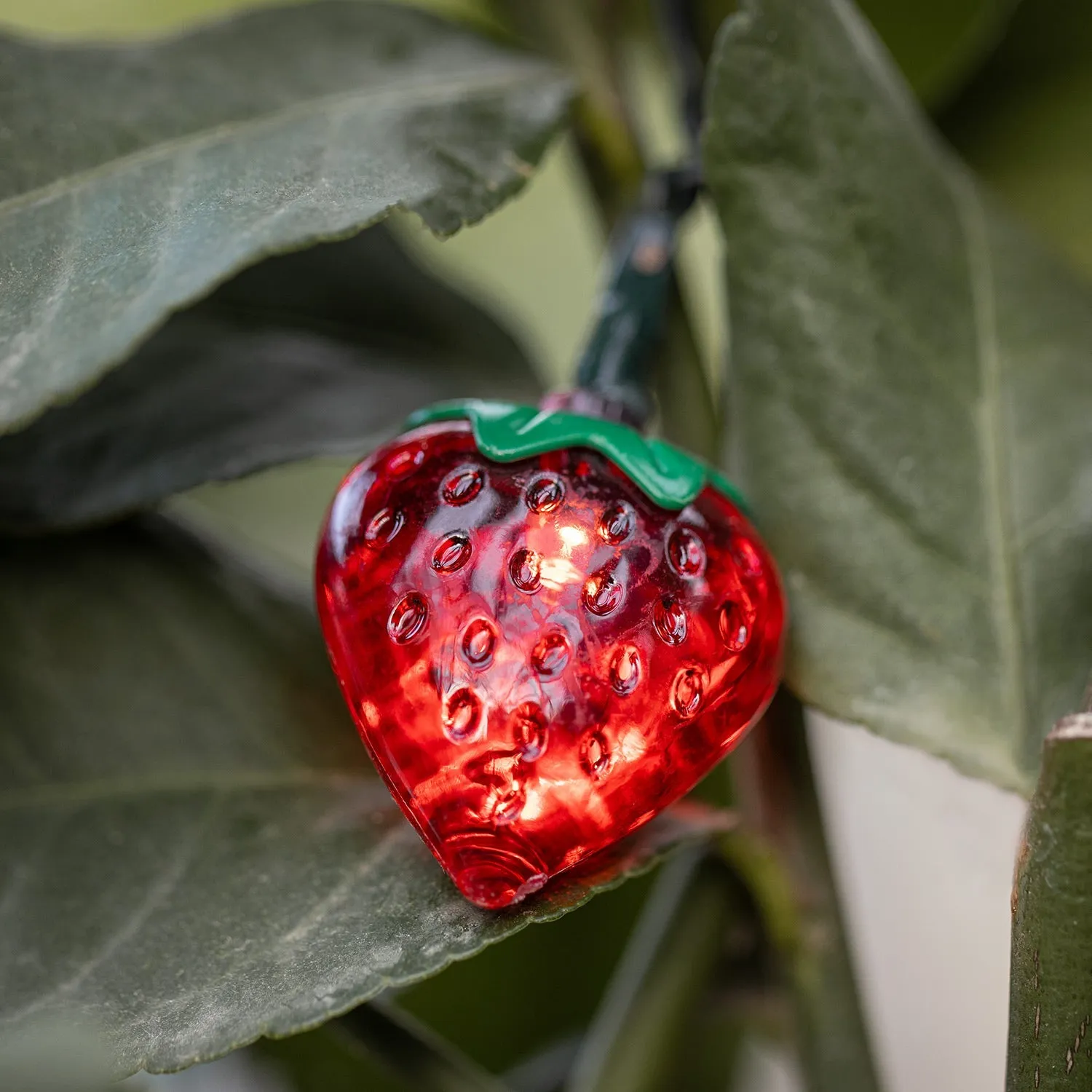 Battery Operated Strawberry String Lights