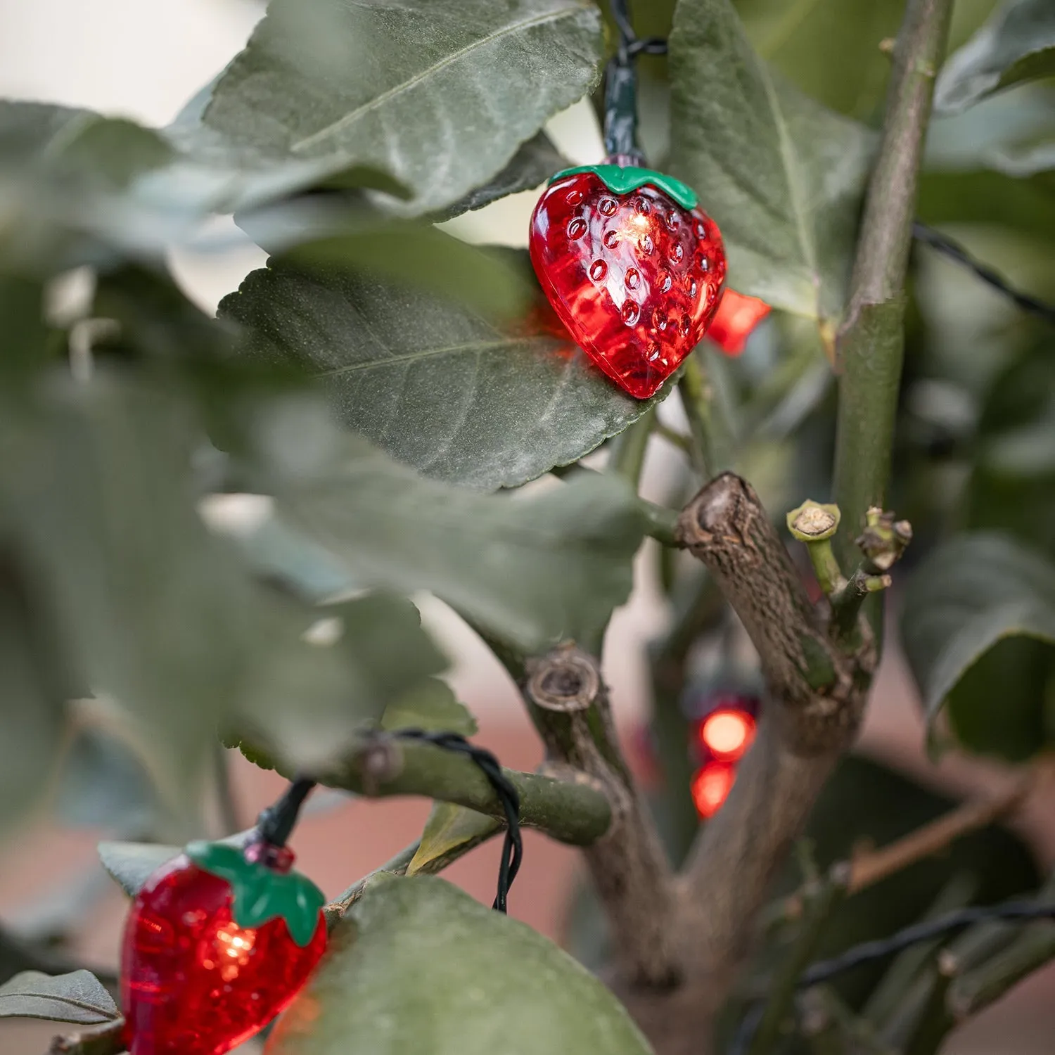 Battery Operated Strawberry String Lights