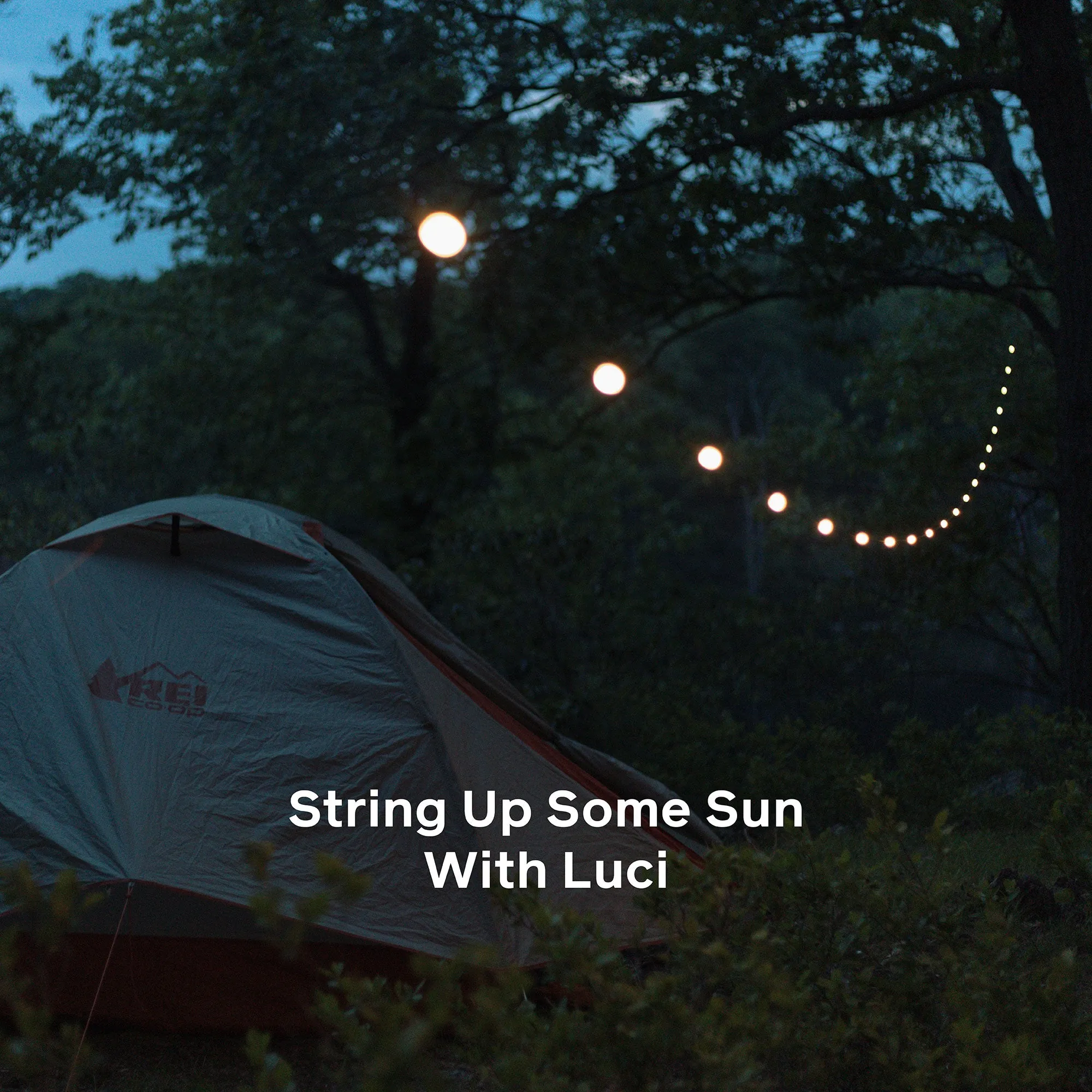 Luci Solar String Lights: 44' White