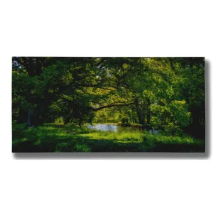 "Summer Morning In The Park" by Nicklas Gustafsson Giclee Canvas Wall Art